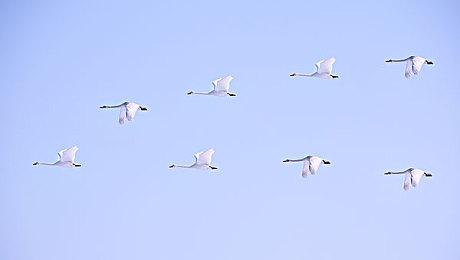 育碧《星战》游戏开发顺利 正在招募测试人员